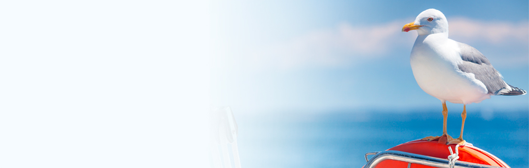 Vogelverschrikker op de boot