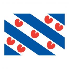 Friese Vlag Voor De Boot Kwaliteit Bij Nautic Gear