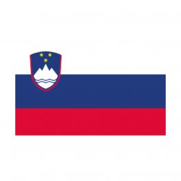 Sloveense Vlag voor de Boot